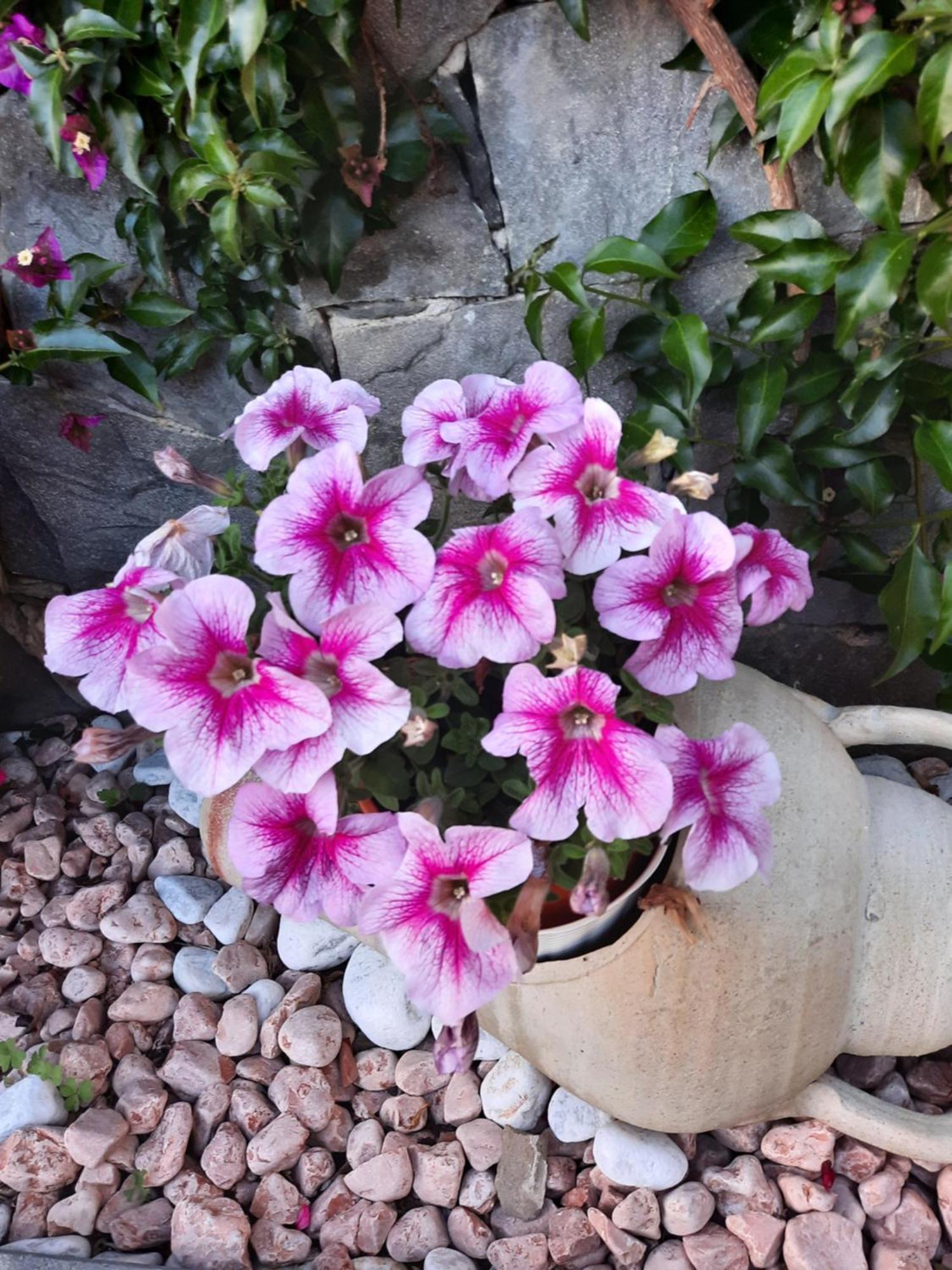 לבנטו B&B Vignola מראה חיצוני תמונה