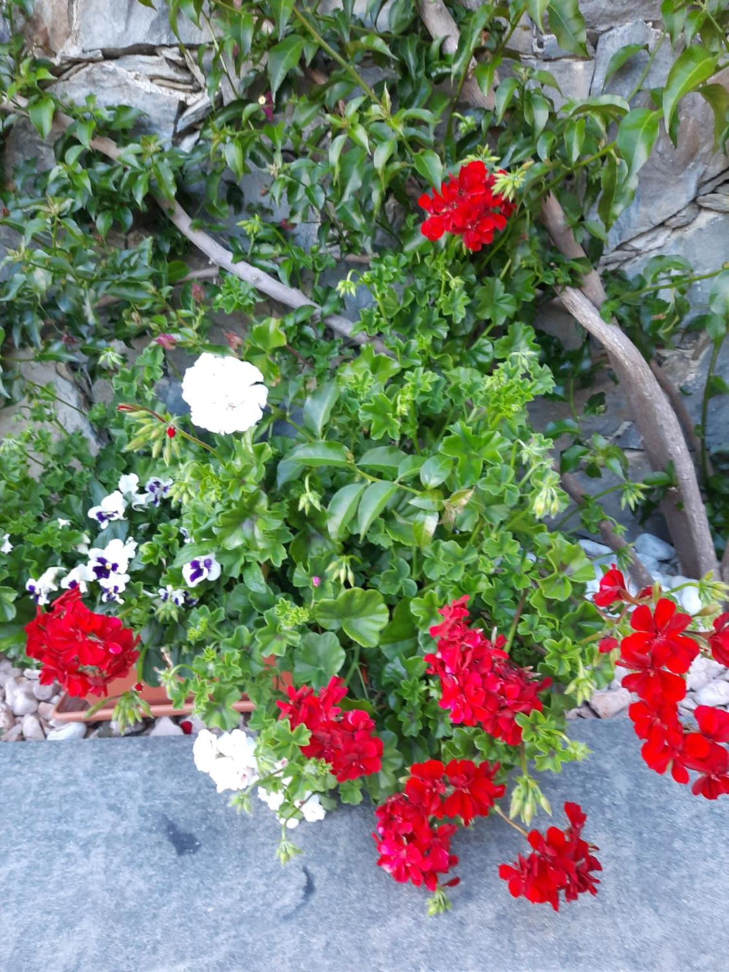לבנטו B&B Vignola מראה חיצוני תמונה